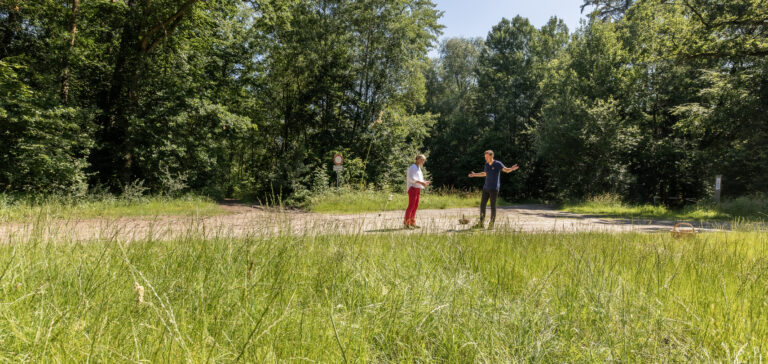 Workshop Resilienztraining in der Natur